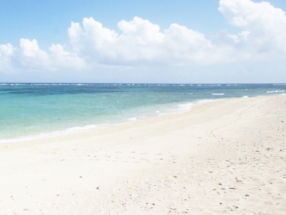 国交省、地域津波対策と砂浜保全を推進