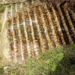 「緑のダム」の歴史的考察～その２：明治期から今日まで～