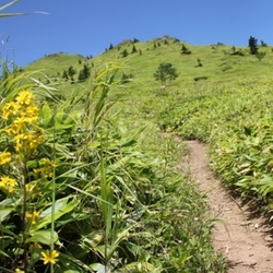 夏山の準備は豪雨・地震対策の集大成！
