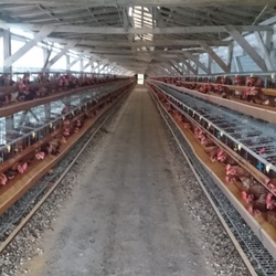 世界に広がる新型コロナウイルス感染（2）