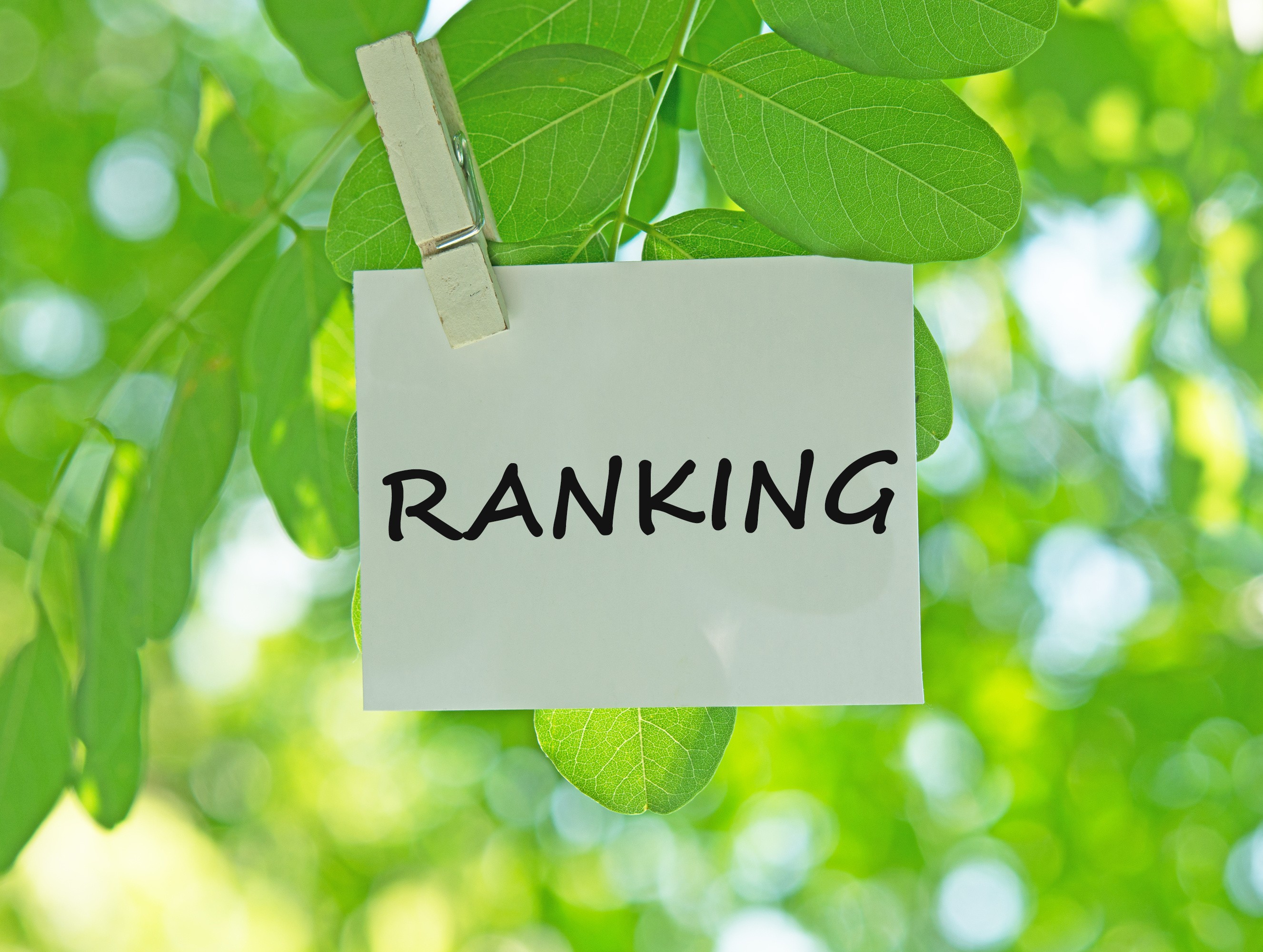 第25回　環境格付融資による環境省と補助事業者の公募方法