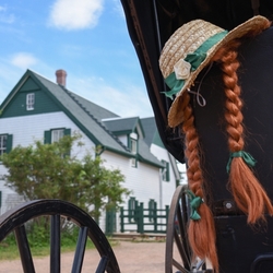 赤毛のアンの島の災害対策7選