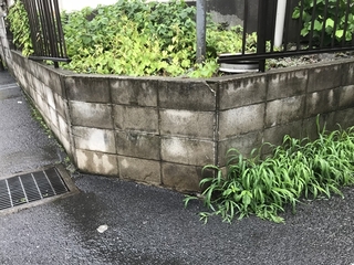 ブロック塀 古い方が無法状態の現実 根本解決は 気になる防犯は アウトドア流防災ガイド あんどうりすの 防災 減災りす便り リスク対策 Com 新建新聞社 ブロック塀 古い方が無法状態の現実 根本解決は 気になる防犯は アウトドア流防災ガイド あんどうりすの 防災 減災りす便り リスク対策 Com 新建新聞社