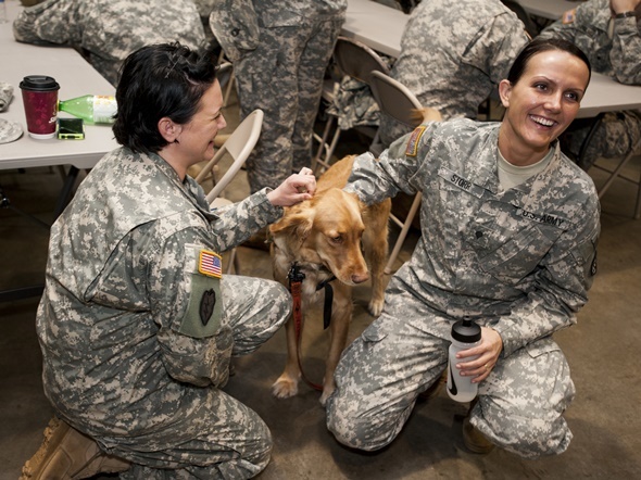 深刻な心の傷を癒す米国の「PTSD介助犬」