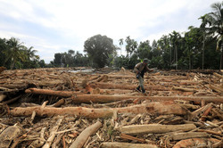 豪雨被害、森林破壊で拡大か＝スマトラ島で死者７０２人に―インドネシア