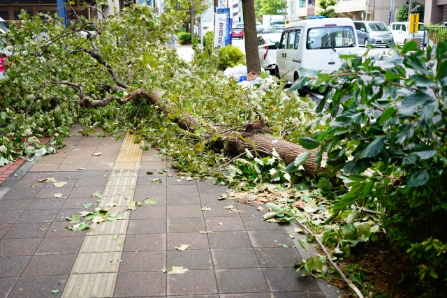 暴風警報と児童生徒の登下校――6月の気象災害――