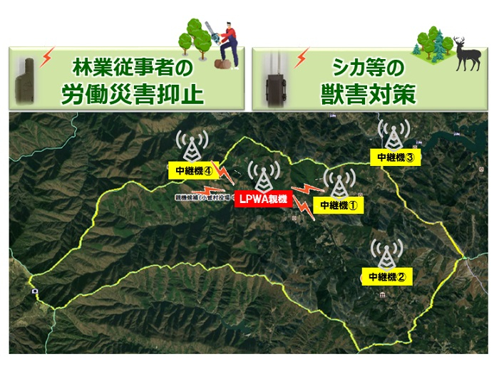 NTT東日本など5者、IoT活用した林業労災抑止など実証実験