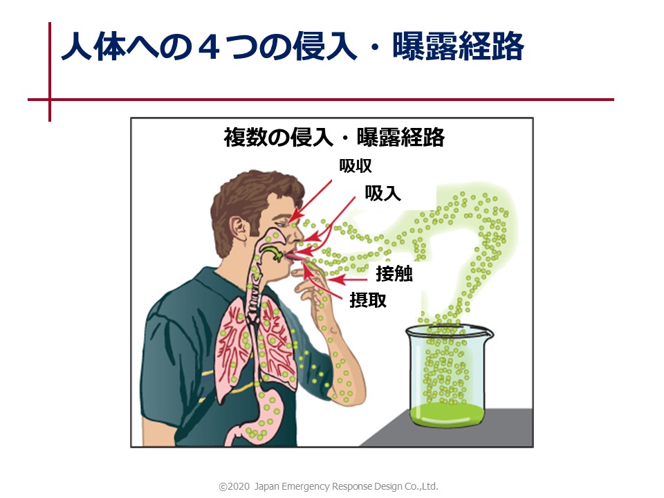 検証し、将来に備えろ