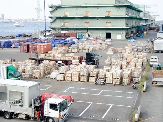支援物資供給上の課題　東日本大震災と熊本地震の違いを考察