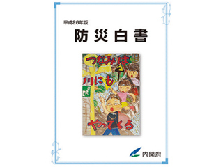 防災活動を支えるソフトパワー 「防災白書」における地区防災計画制度の特集