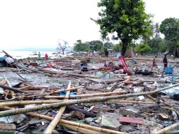 第126回：津波に被災した地域コミュニティーのレジリエンスを評価した事例