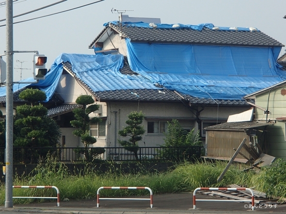 りすの熊本滞在記。今こそボランティアに行こう！