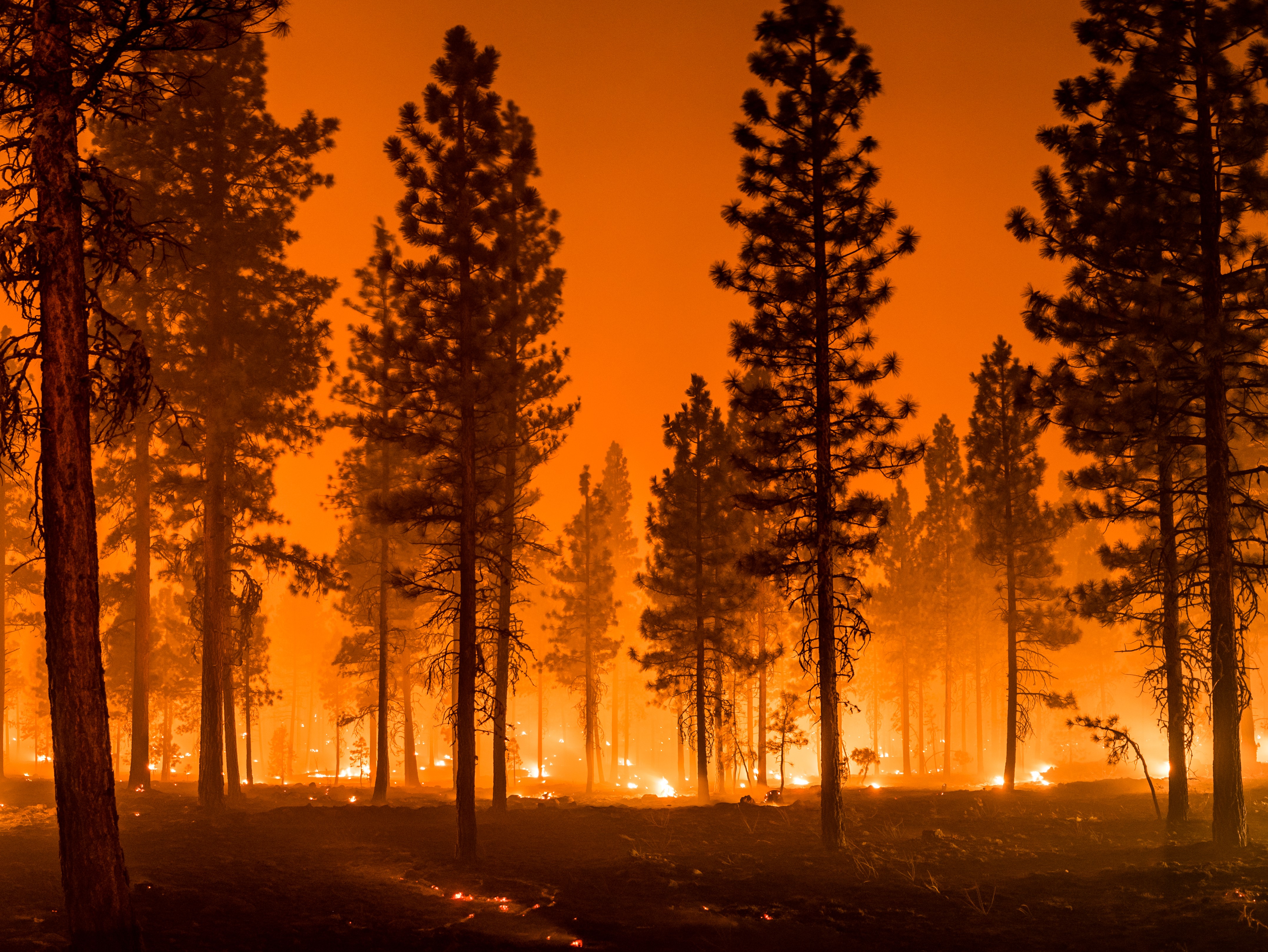 山火事の避難計画を立てていますか？