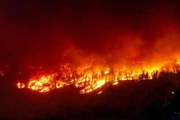 世界で山火事が拡大、地球温暖化との関係は？人間活動の影響も
