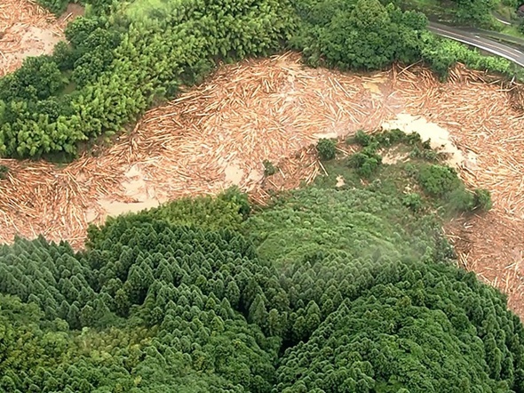 土砂災害・研究最前線～国総研・土砂災害研究部を訪ねて、その１～