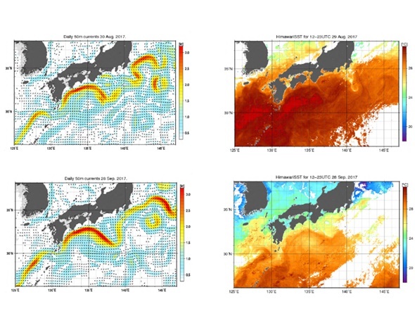 黒潮大蛇行、12年ぶり規模で浸水注意