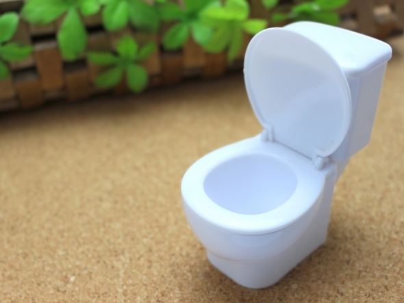 災害時のトイレ「いちかばちか流しちゃえ！」はダメ！きちんと話し合って計画を立てよう