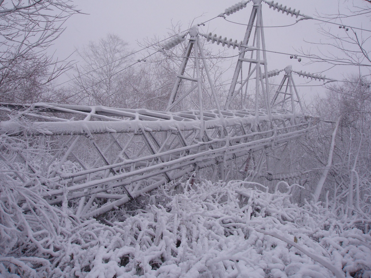 初冬の広域停電―11月の気象災害―