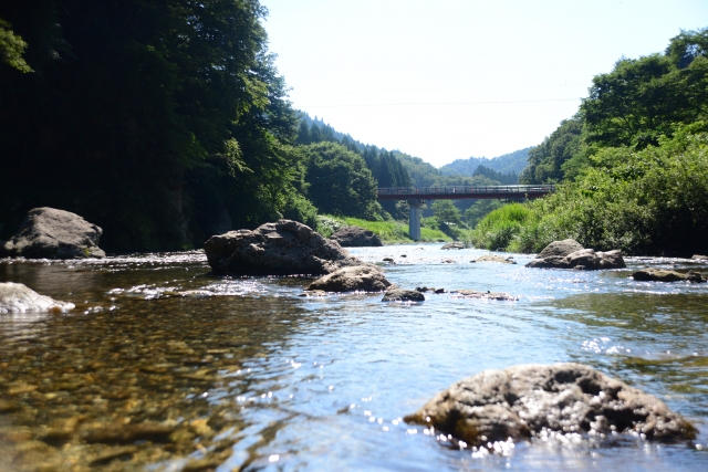 保育の視点で川遊びを考える