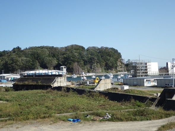 大津波襲来で明暗を分けたもの～東日本大震災の現場から～