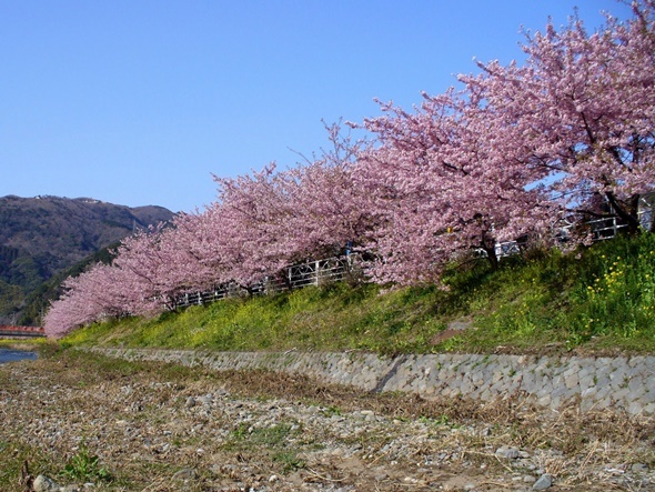 静岡県、市町のBCP策定支援チーム