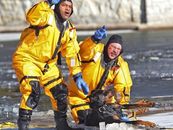 凍った池に犬が落ちてしまった場合の救助法